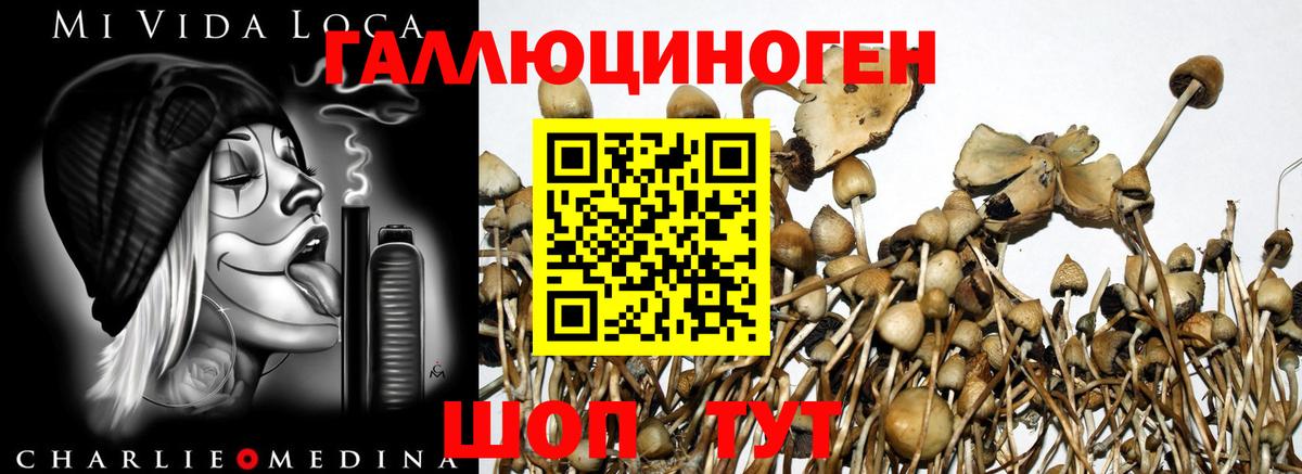 Галлюциногенные грибы MAGIC MUSHROOMS Михайловск